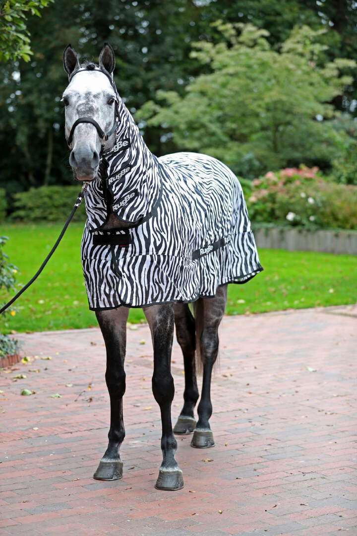 Covalliero Fliegendecke RugBe Zebra mit Halsteil